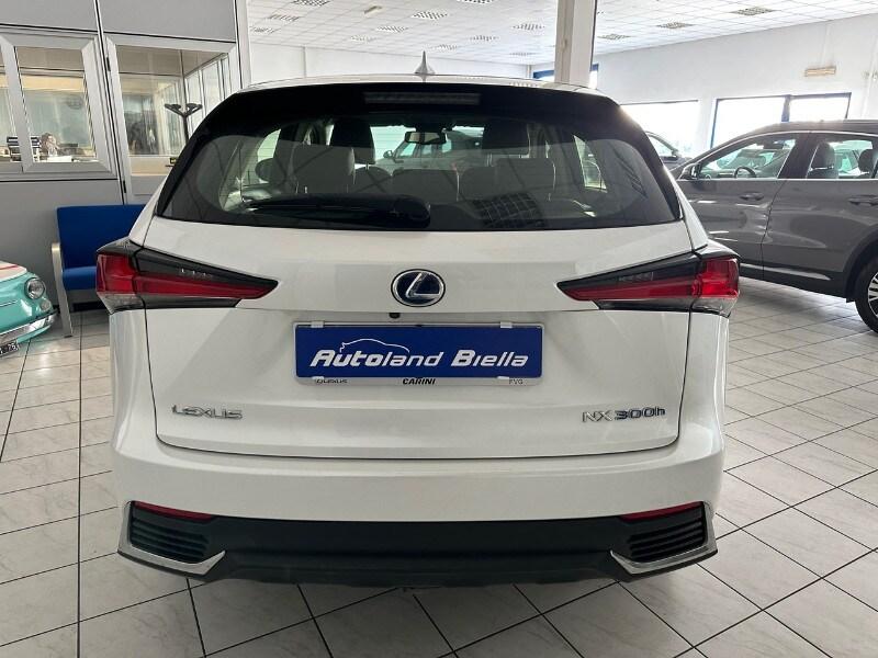 LEXUS NX 1ª serie NX Hybrid 4WD F-Sport