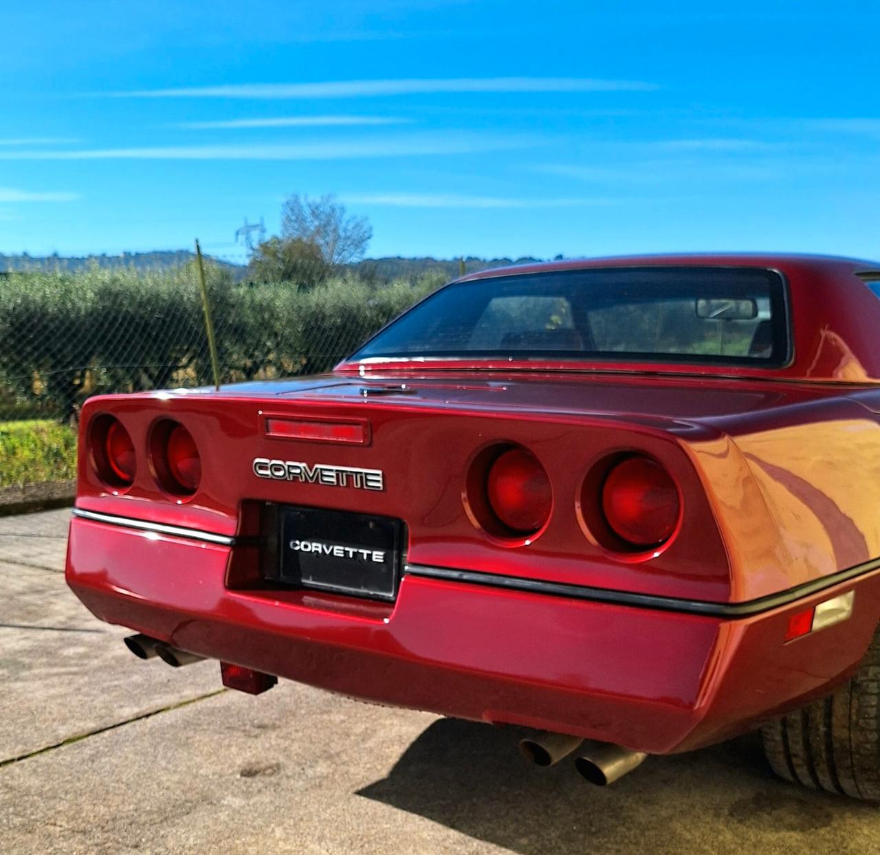 Chevrolet Corvette C4 Cabriolet - Hard Top INTROVABILE - BELLISSIMA