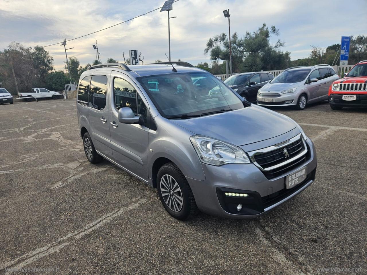 Partner Tepee BlueHDi 100 N1