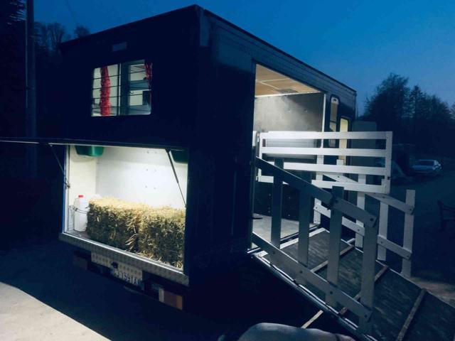 IVECO Daily 35C12 2.3 Hpi Trasporto Cavalli Patente B !!!