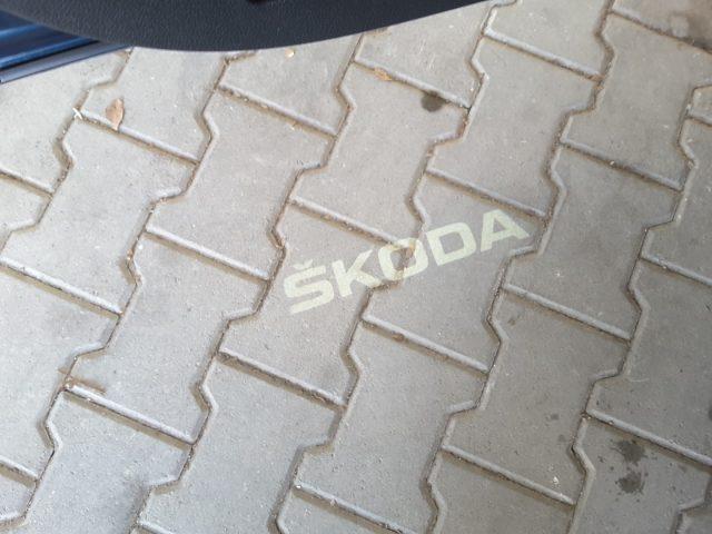 SKODA Karoq 1.6 TDI 115cv DSG Style