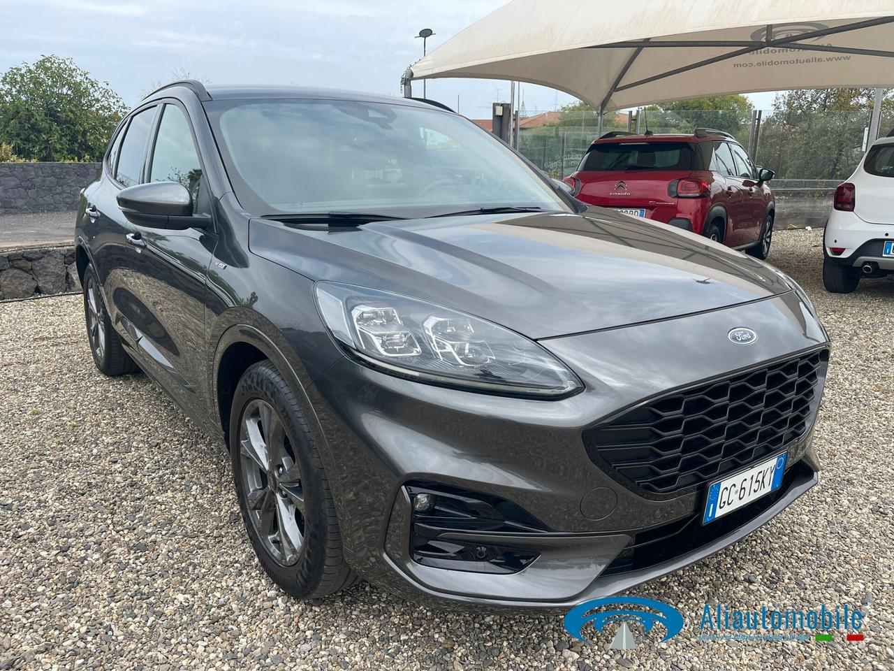 Ford Kuga 2.0 EcoBlue Hybrid 150 CV 2WD ST-Line