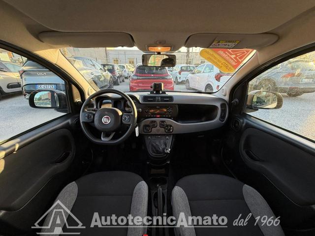 FIAT Panda 3° serie 1.0 FireFly S&S Hybrid City Life
