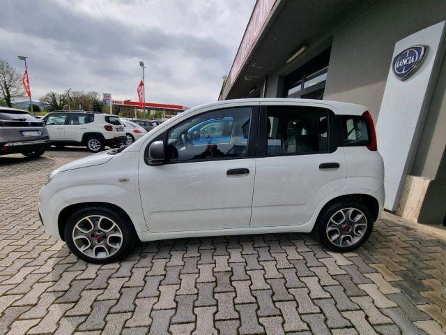 FIAT Panda 1.3 MJT 95 CV S&S Easy