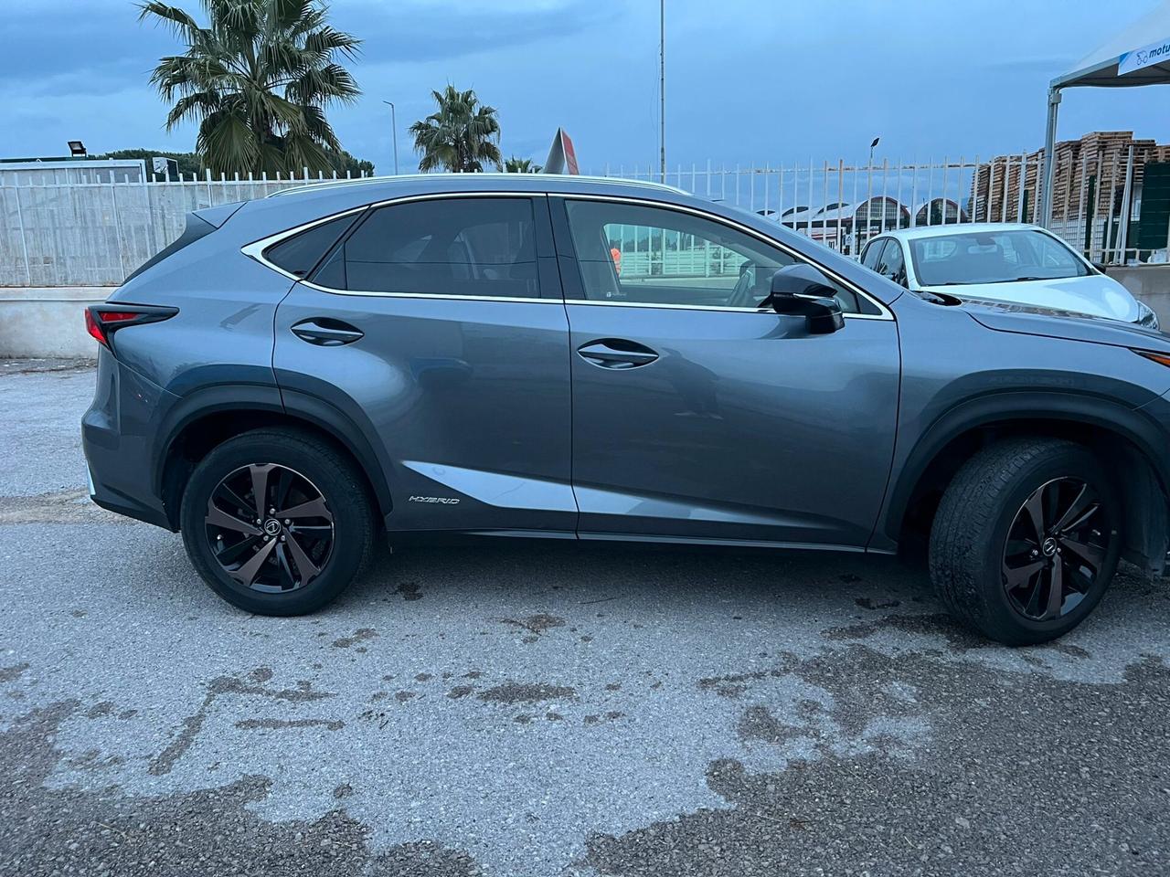 Lexus NX Hybrid 4WD Premium