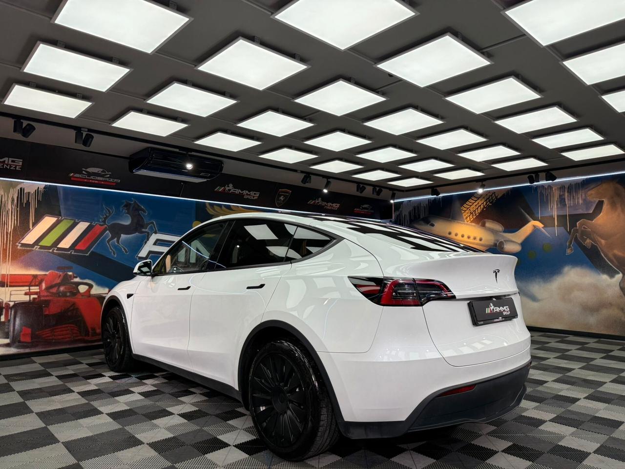Tesla Model Y RWD (485)