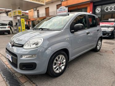 Fiat Panda 1.0 FireFly S&S Hybrid Launch Edition NEOPATENTATI