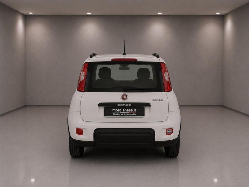 FIAT Panda 1.0 FireFly 70cv S&S Hybrid City Life