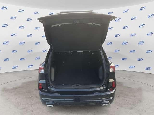 Ford Kuga 2.0 ecoblue ST-Line X 2wd 120cv auto