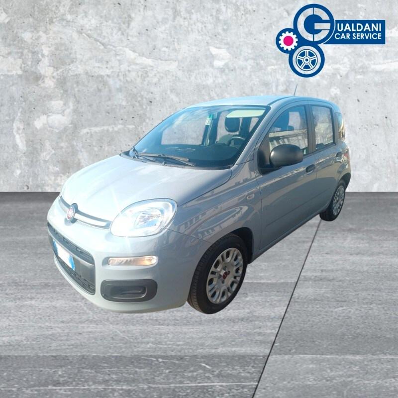 FIAT Panda 3ª serie Panda 1.0 FireFly S&S Hybrid