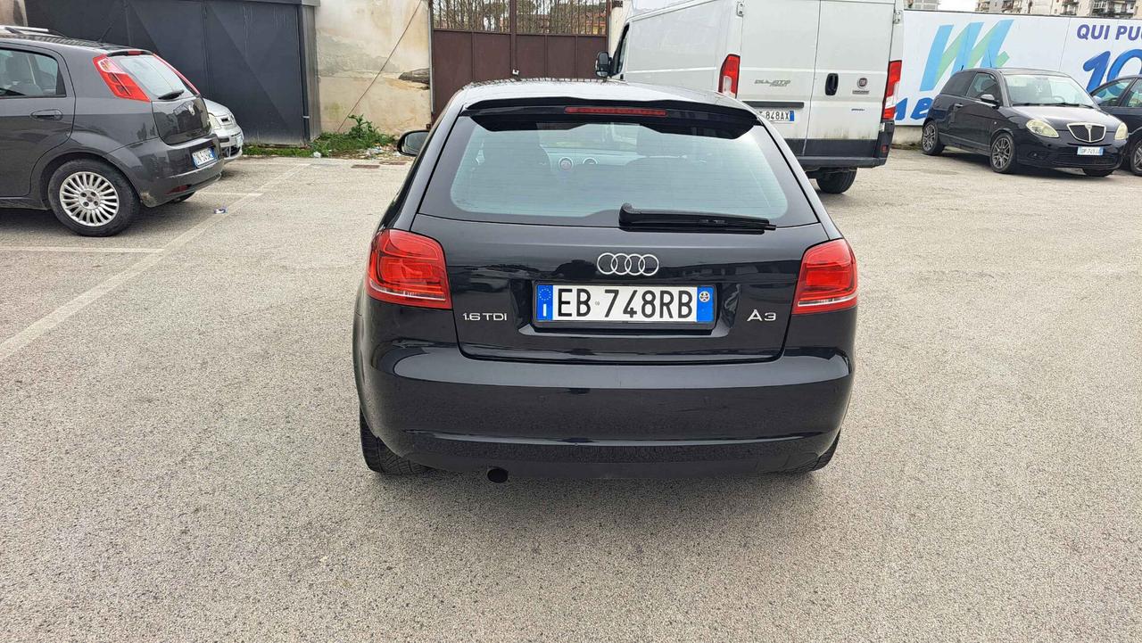 Audi A3 1.6 TDI 90 CV CR F.AP Ambiente
