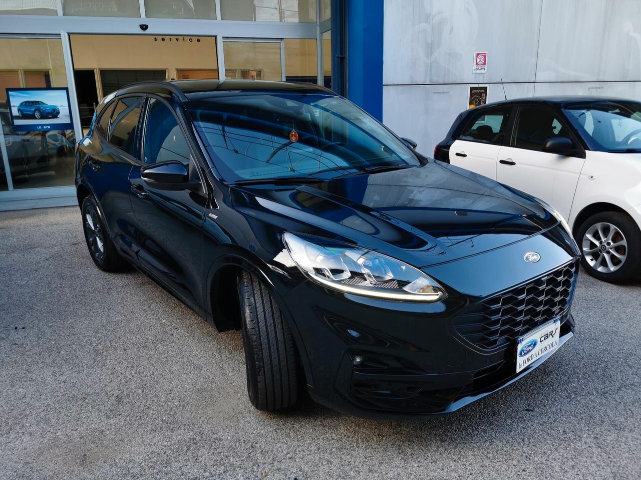 Ford Kuga 1.5 Ecoblue 120cv St-Line