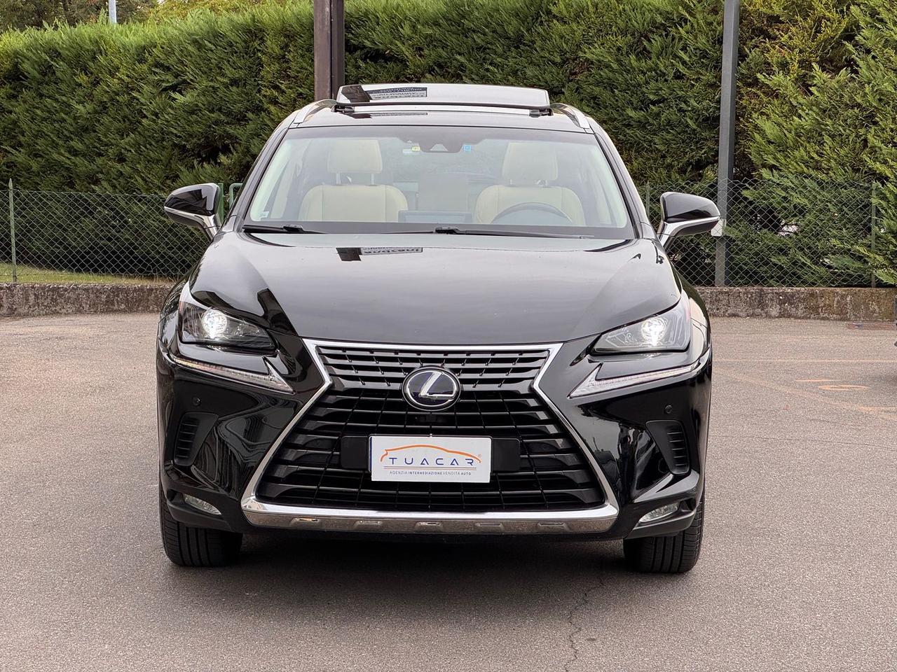 Lexus NX 300h Luxury NX 300h HEV #12039