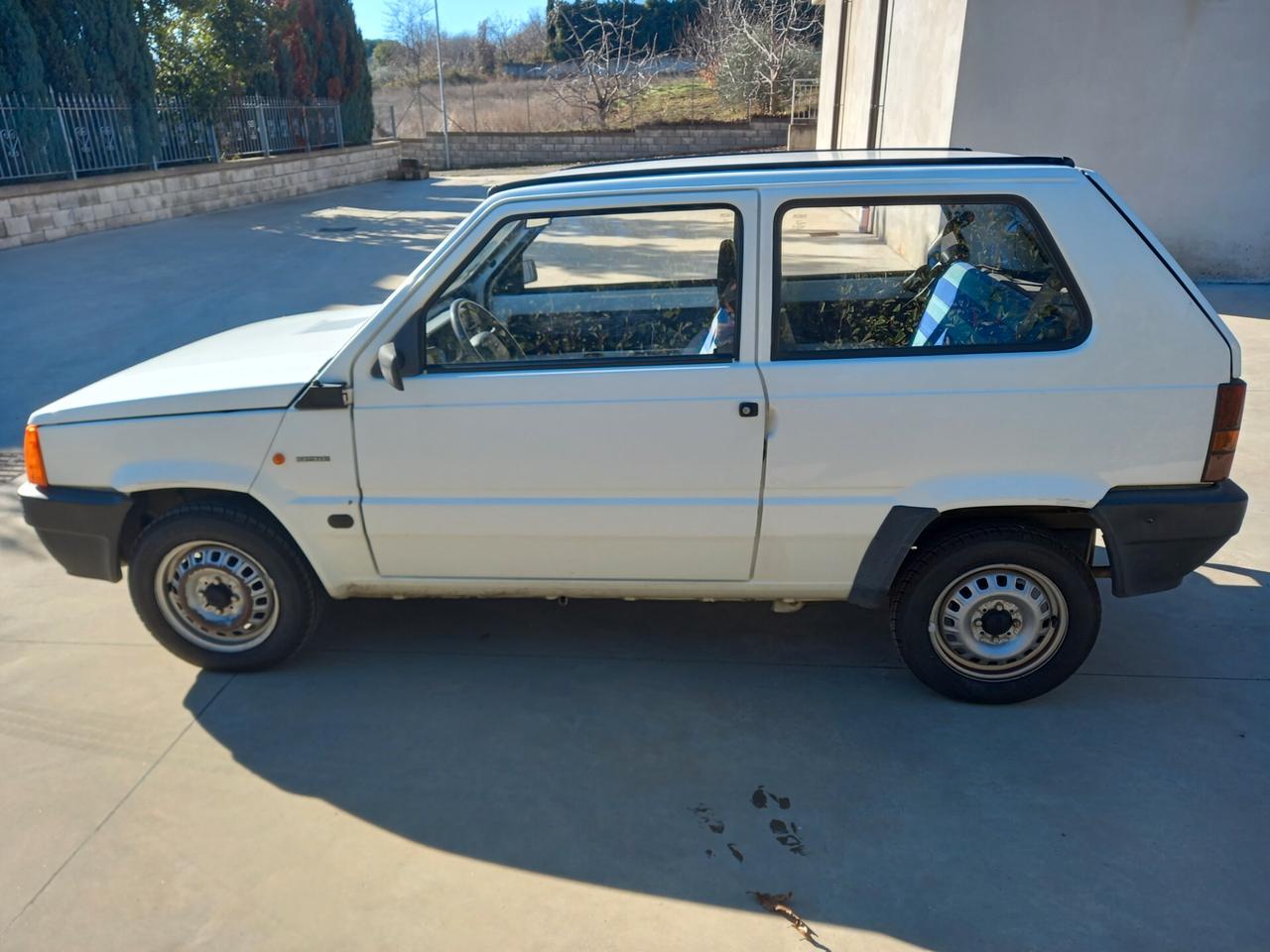 Fiat Panda 900 i.e. cat Young