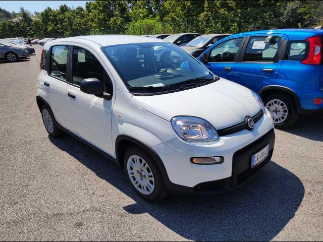 FIAT Panda 1.0 firefly hybrid s&s 70cv