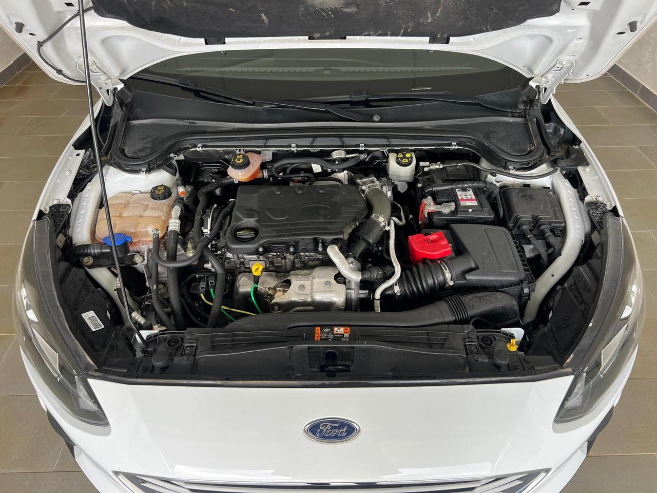 Ford Focus 1.5 EcoBlue 95 CV 5p. Business