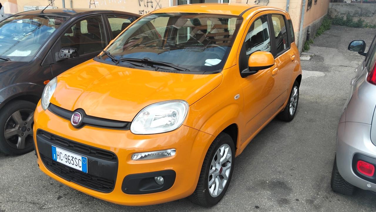 Fiat Panda 1.2 Lounge PER NEOP 5 POSTI CINGHIA DISTRB NUOVA