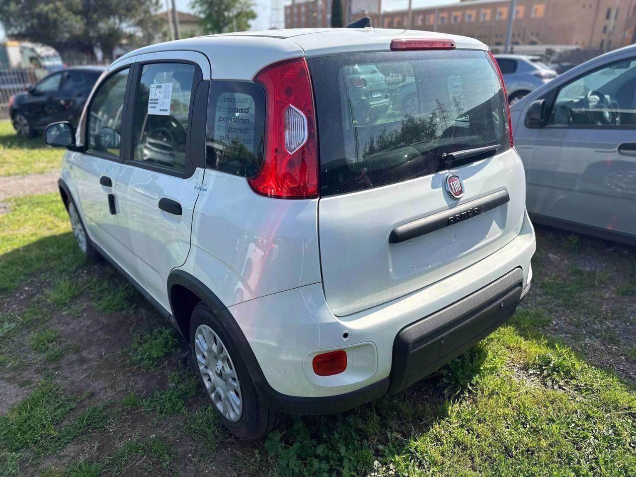 FIAT Pandina III 2024 - Pandina 1.0 firefly hybrid Icon s&s 70cv