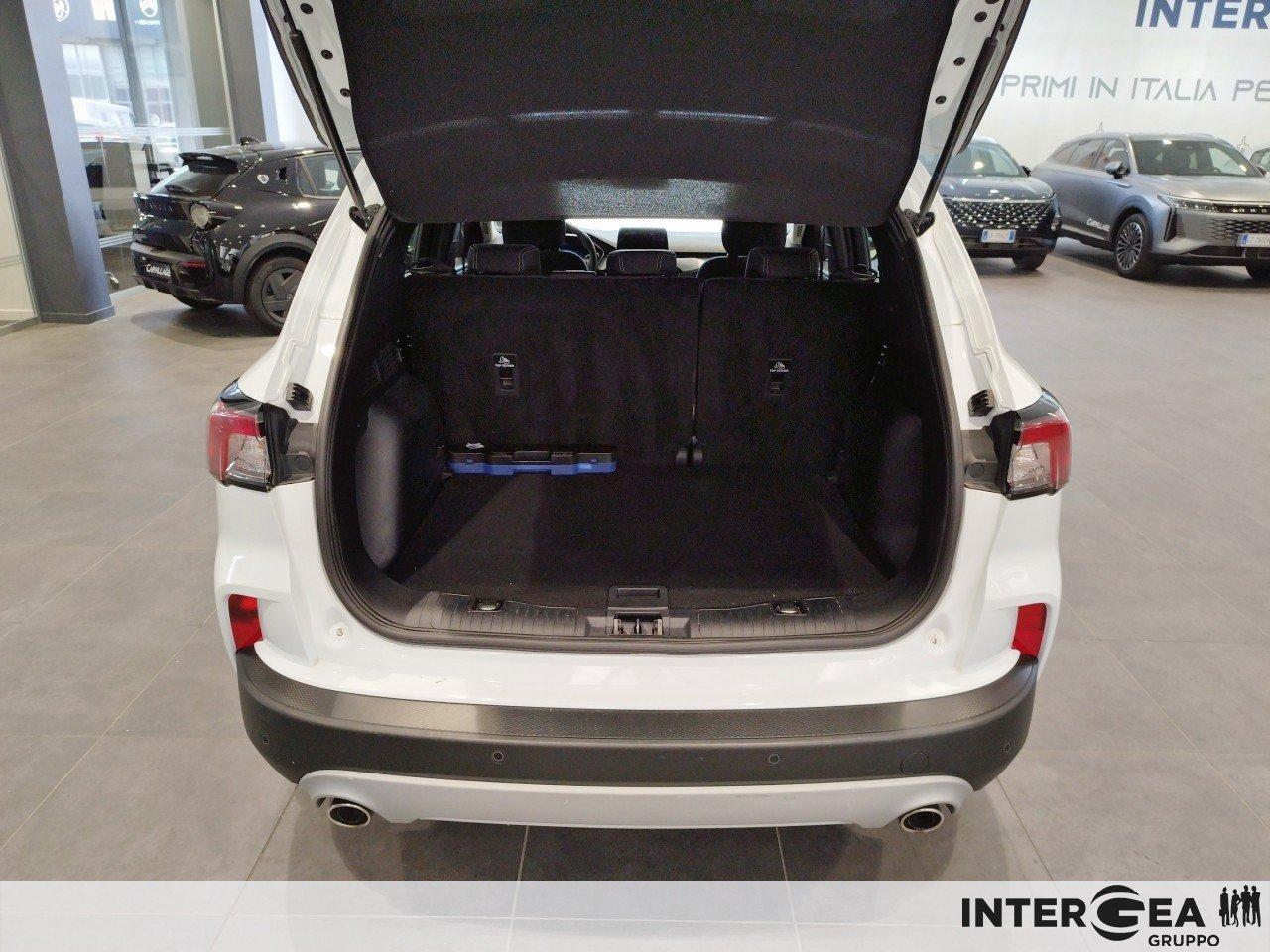 FORD Kuga 1.5 ecoblue Titanium Business 2wd 120cv auto