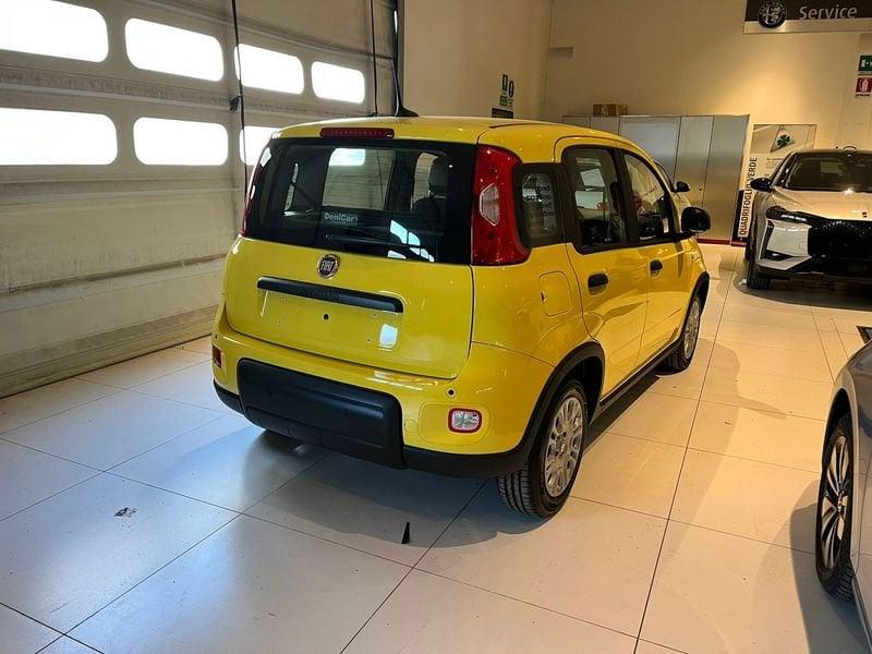 FIAT Panda 1.0 FireFly S&S Hybrid Pandina