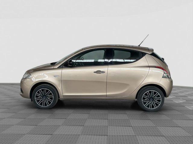 LANCIA Ypsilon Ypsilon 1.2 69 CV 5 porte S&S Gold
