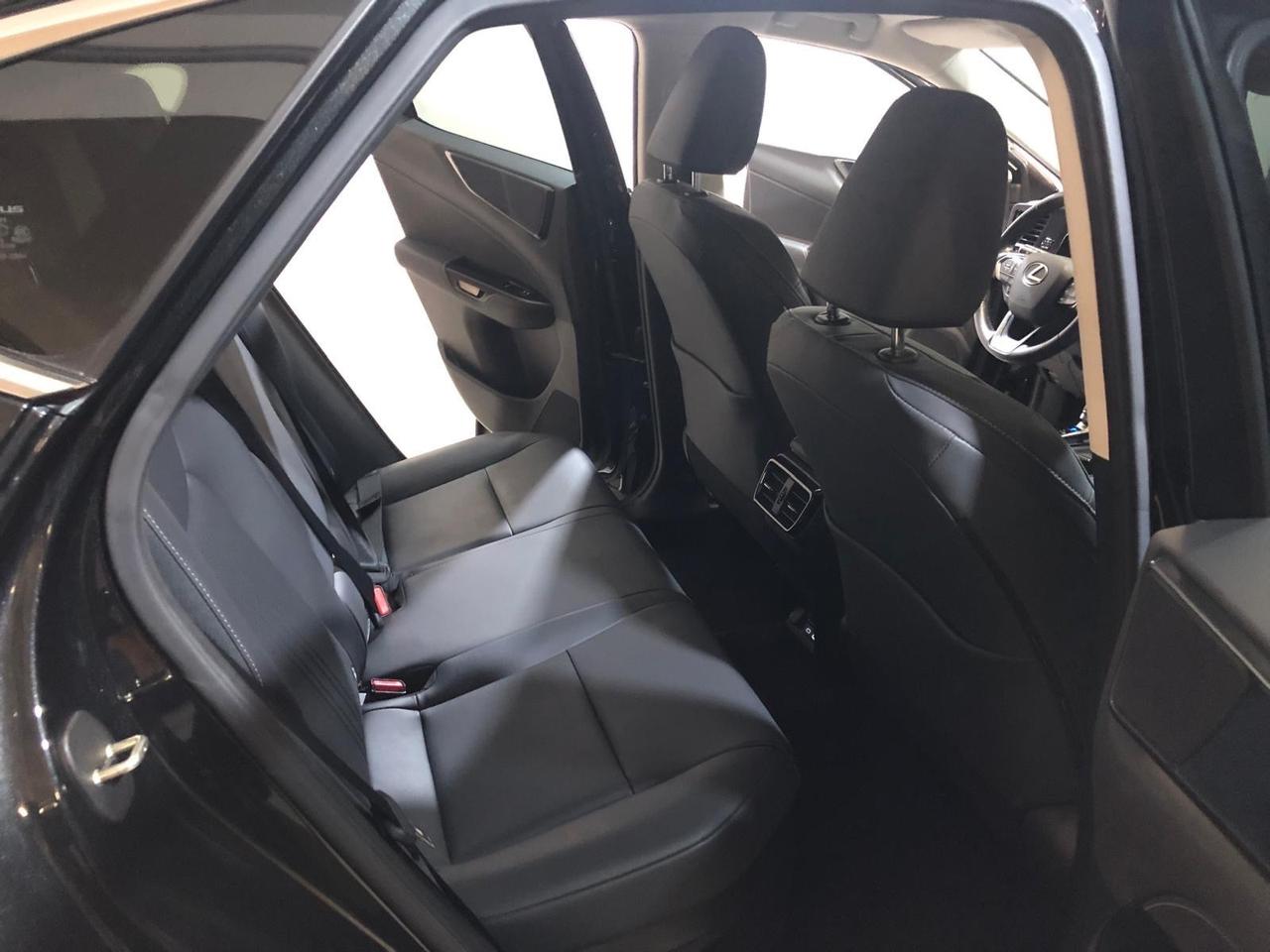 Lexus NX 300h NX Plug-in 4WD Luxury