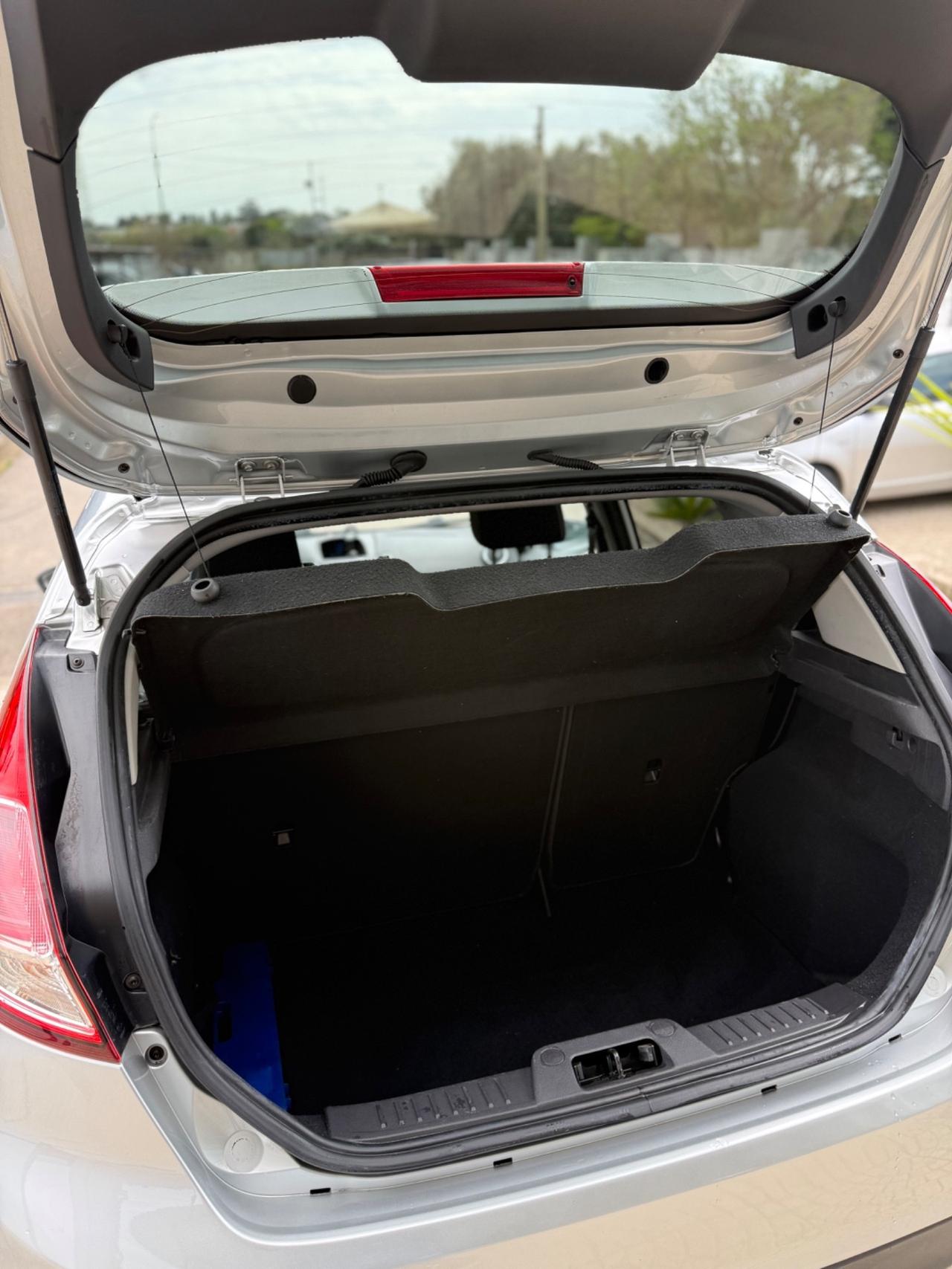 Ford Fiesta 1.5 TDCi 75CV 5 porte Titanium