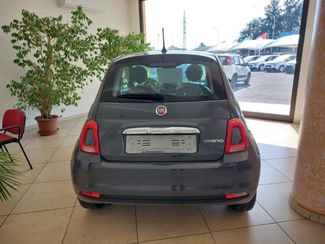FIAT 500 1.0 Hybrid Cult Uniprò Clima Fattur Legge 104