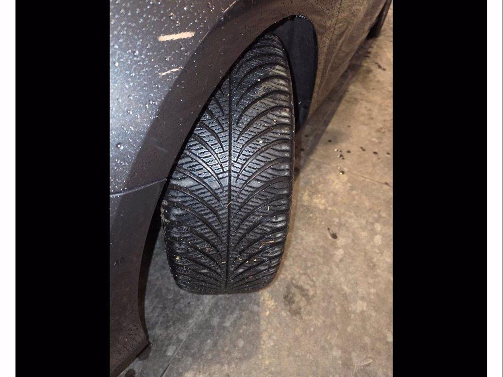 FORD Focus 1.5 ecoblue st-line 115cv auto del 2024