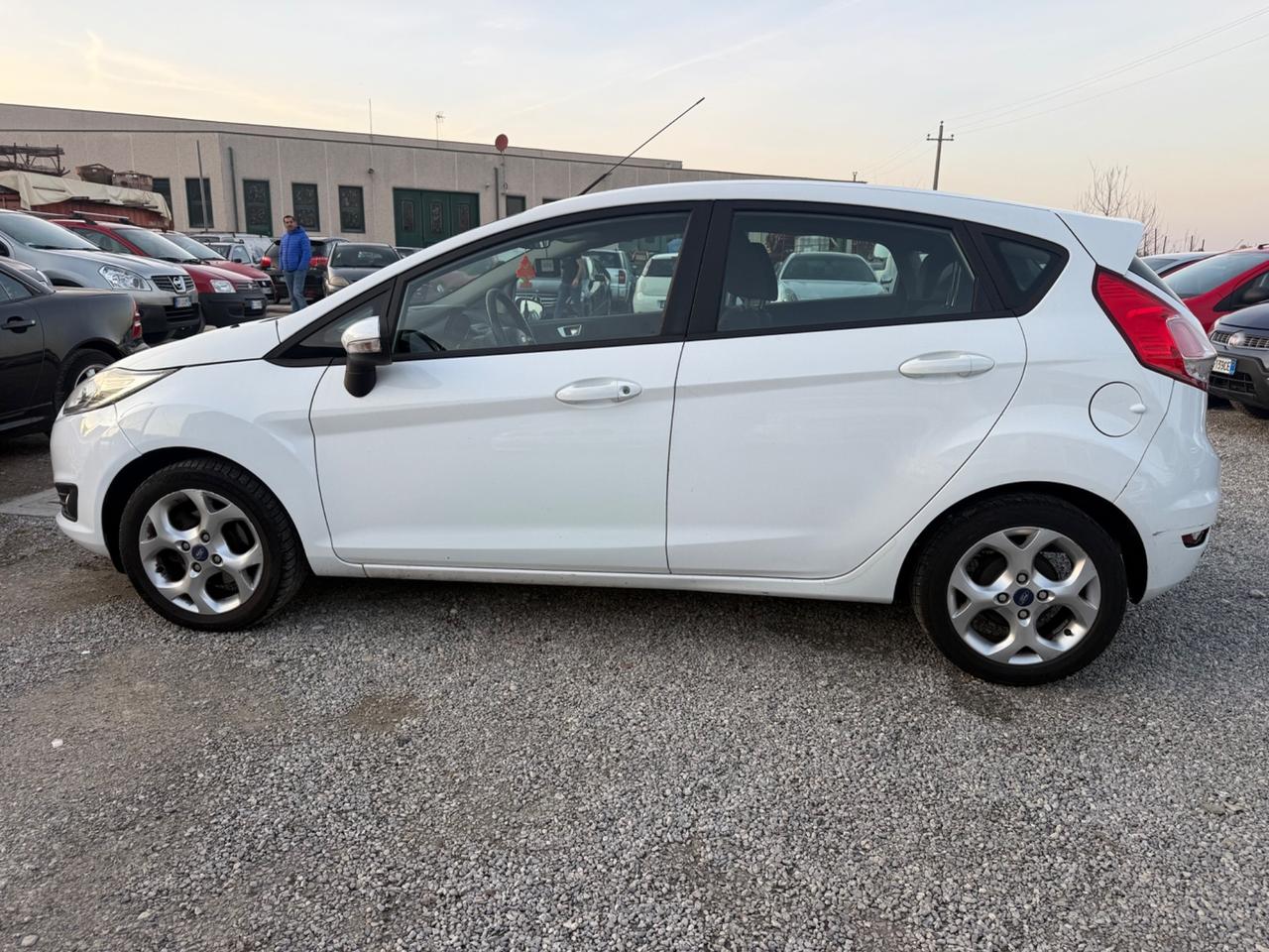 Ford Fiesta 1.0 80CV 5 porte Black & White Edition