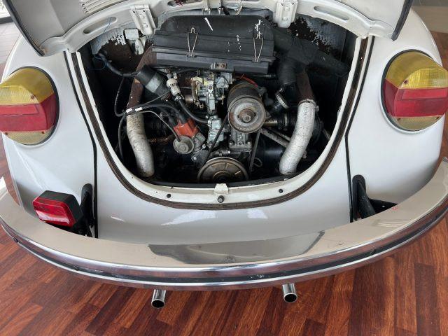 VOLKSWAGEN Maggiolone Maggiolino