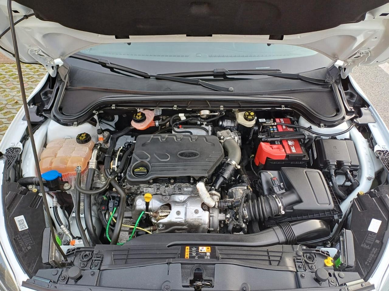 Ford Focus StationWagon 1.5 EcoBlue 120 cv automatico Business Co-Pilot