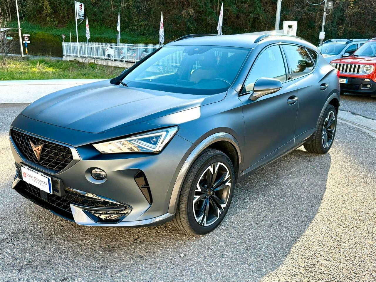 Cupra Formentor 2.0 TDI 4Drive DSG