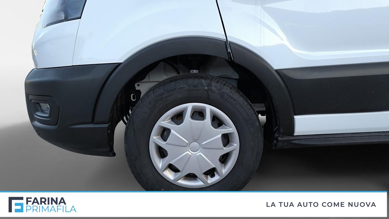 FORD Tran V363 TA Van Trd 170cv MHEV 350 L2H2