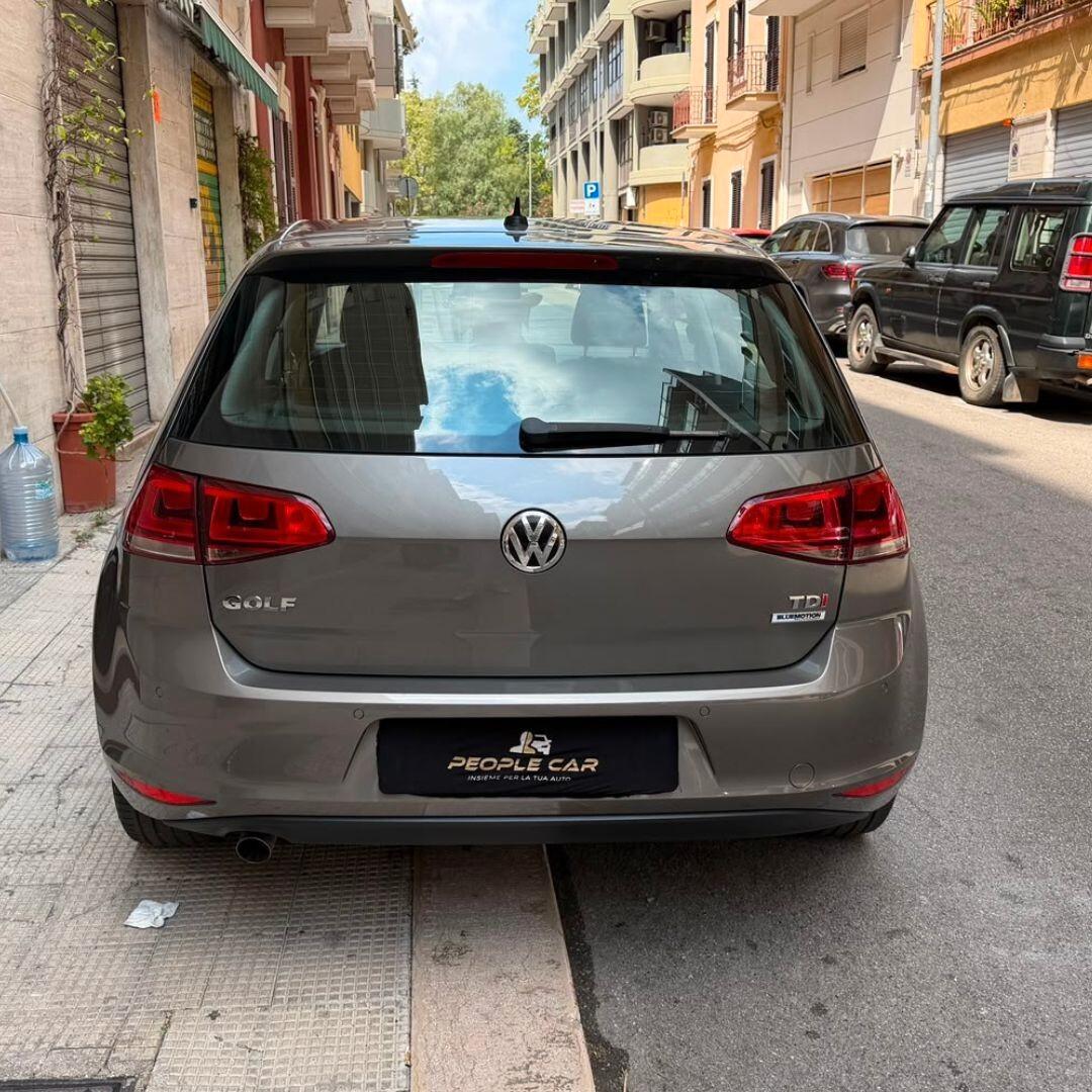 Volkswagen Golf 1.6 TDI 5p. - 110CV