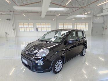 FIAT PANDA 1.0 FireFly 70cv S/S Hybrid 5 PORTE