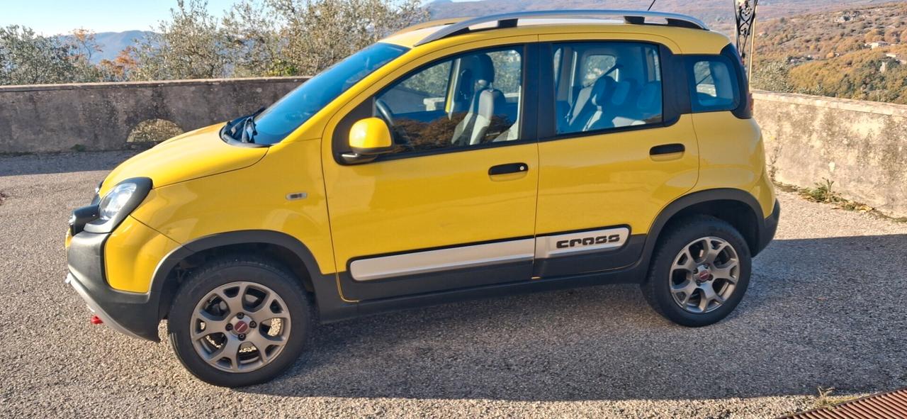 Fiat Panda 1.3 MJT 16V DPF 4x4 Climbing