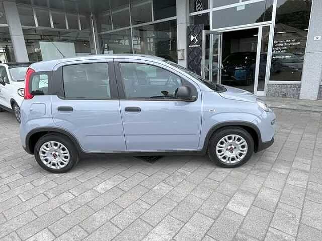 Fiat Panda 1.0 Hybrid 70cv Usato Garantito