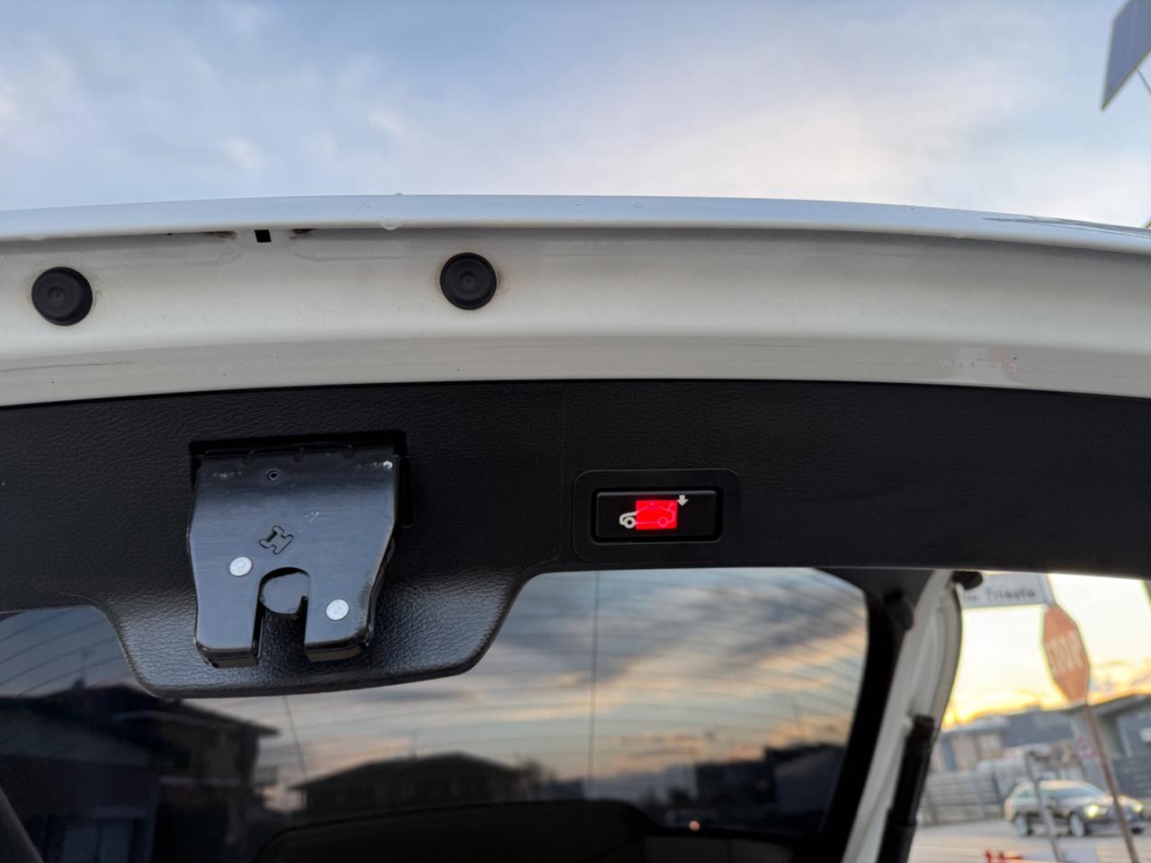 Bmw X6 xDrive30d Futura 245CV 8 MARCE. TETTO