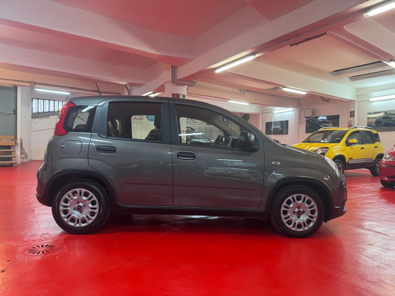 Fiat Panda 1.0 FireFly S&S Hybrid con soli 25000km