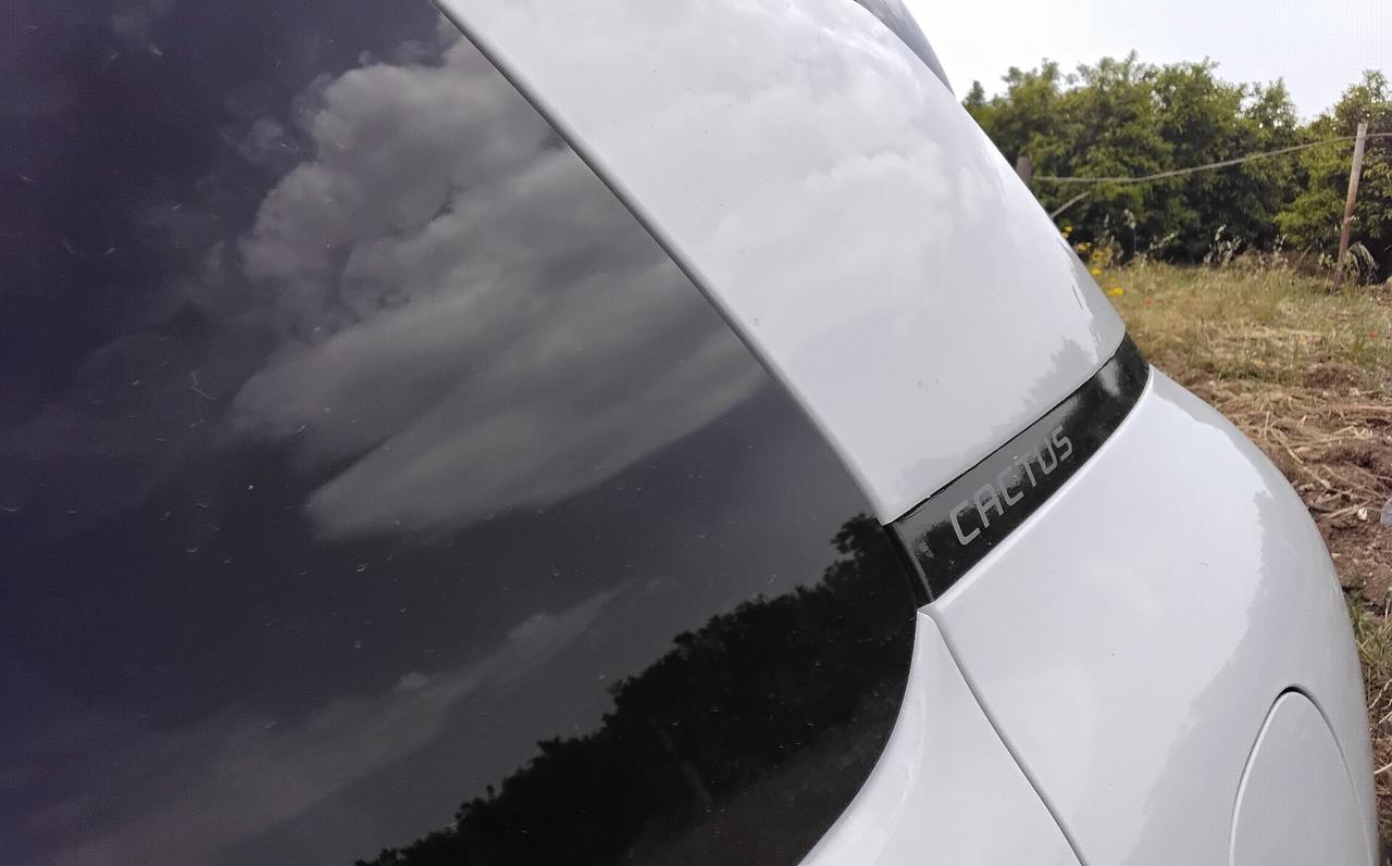 Citroen C4 Cactus BlueHDi 100 S&S Shine