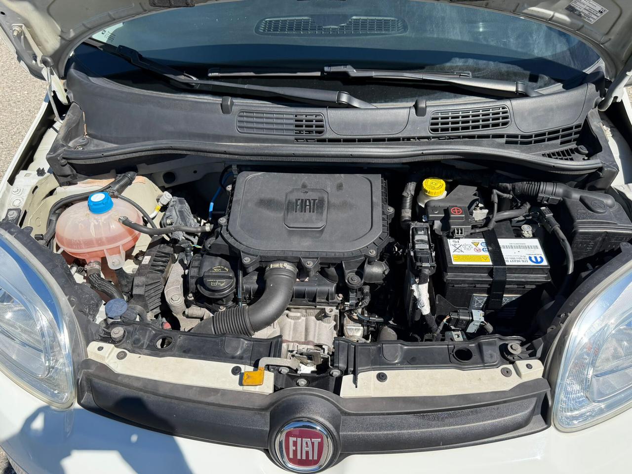 Fiat Panda 1.0 Hybrid Street Van 4 posti IVA ESPOSTA