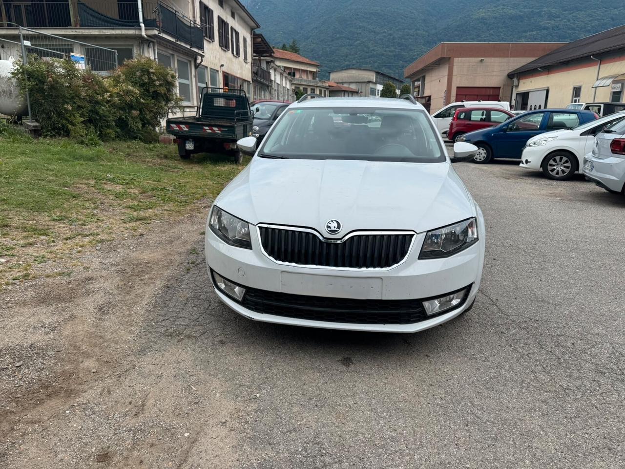Skoda Octavia 1.6 TDI CR 110 CV 4x4 Wagon Executive