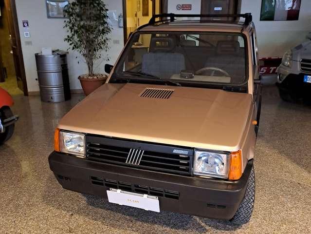 Fiat Panda Panda I 1986 1.1 Country Club 4x4 cat.