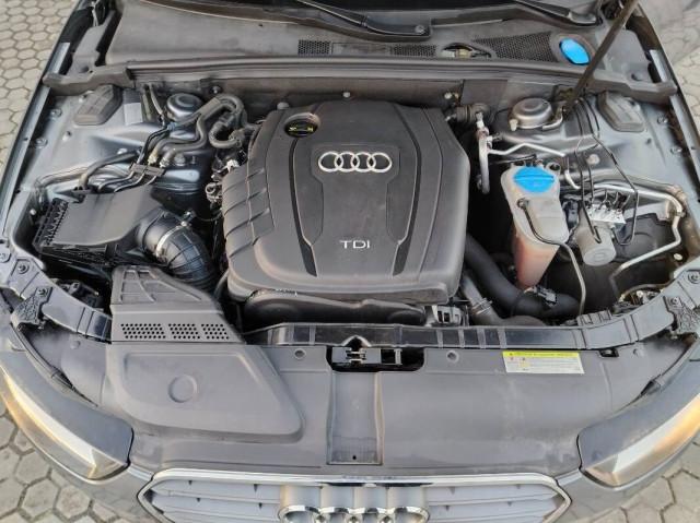 Audi A4 2.0 tdi Business Plus 177cv