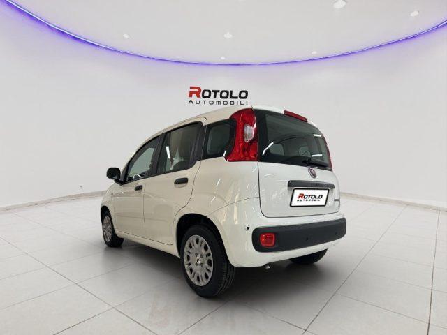FIAT Panda 1.0 FireFly S&S Hybrid SENZA FINANZIAMENTO