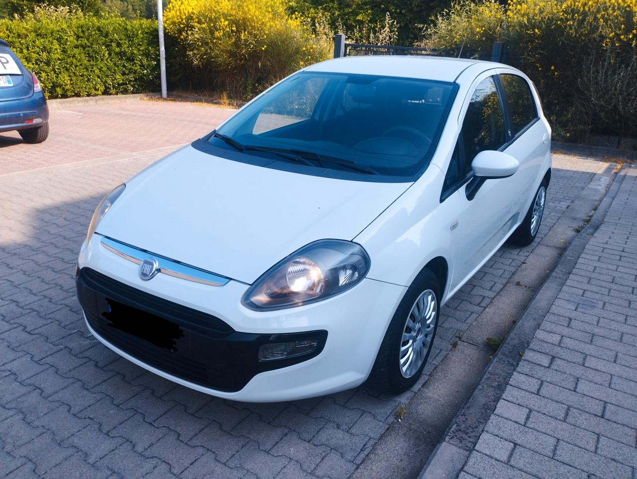 Fiat Punto Evo Punto Evo 1.2 5 porte S&S Dynamic