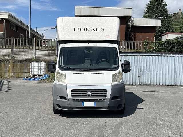 Fiat Ducato 30 2.3 MJT Trasporto Cavalli