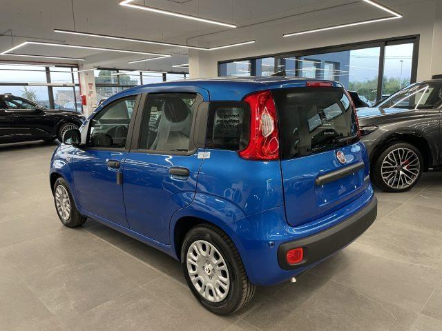 FIAT Pandina 1.0 Hybrid Icon KM0 MY26