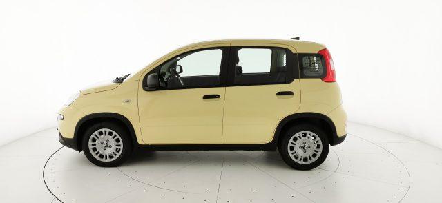 FIAT Panda 1.0 FireFly S&S Hybrid - KM ZERO